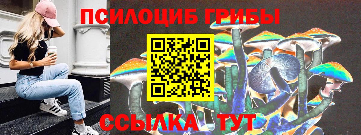 Псилоцибиновые грибы мухоморы Десногорск