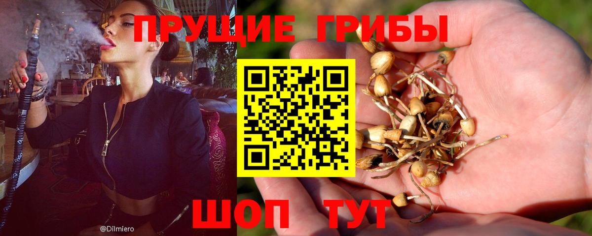Галлюциногенные грибы мицелий  Вход с VPN  Десногорск  Галлюциногенные грибы прущие грибы 